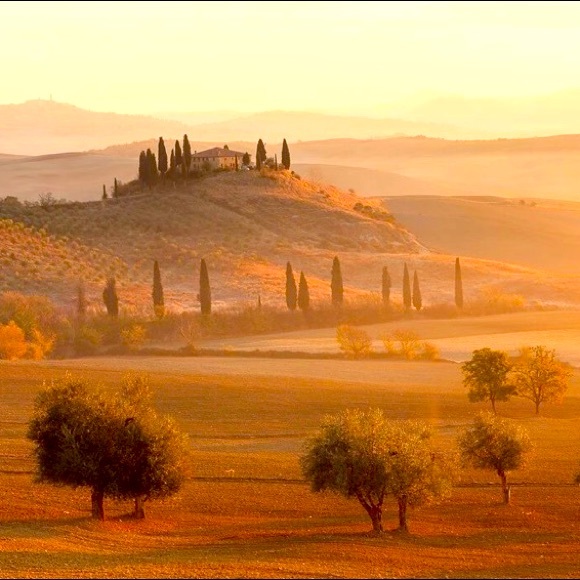 Meet your Posher - Picture 12 of 16